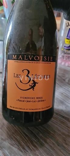 Vallée de la Loire Coteaux-d'ancenis Domaine Haut Fresne Les 3 Lézards Non Millésimé