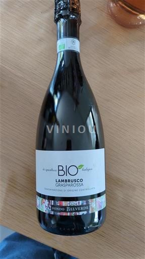 Emilia-Romagna Wines Lambrusco Fondo Belverde Non-Vintage
