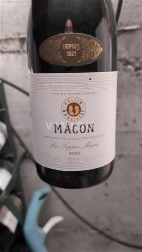 Burgund Mâcon und Mâcon-Dörfer Collinbourisset Les Terres Marnes 2022