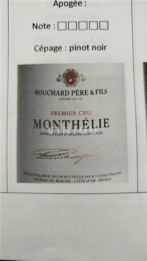 Bourgogne Monthélie Premier Cru Bouchard Père & Fils 2014