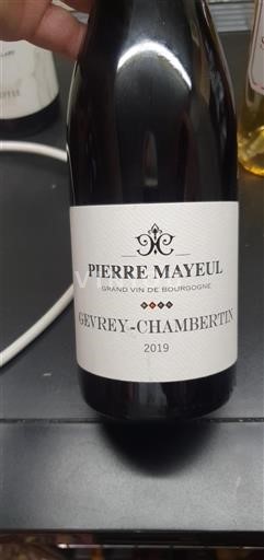 Bourgogne Gevrey-chambertin Pierre Mayeul 2019