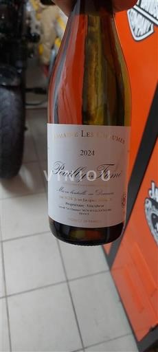 Valle della Loira Pouilly-fumé Domaine Les Chaumes 2024