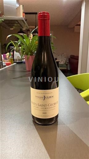 Bourgogne Nuits-Saint-Georges Premier Cru Domaine Julien Les Bousselots 2020