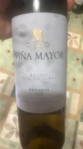 Castiglia e León Rueda Viña Mayor Verdejo 2023