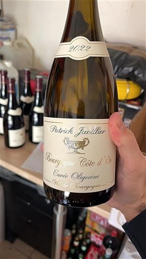 Bourgondië Bourgogne Côte d'Or Domaine Patrick Javillier Oligocène 2022