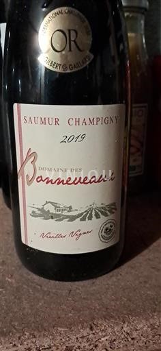 Vallée de la Loire Saumur-champigny Domaine Des Bonneveaux Vieilles Vignes 2019