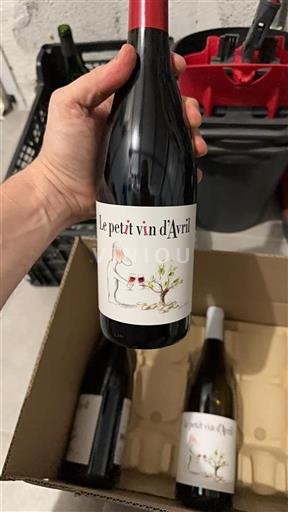 Valle del Rodano Non specificato Le Petit Vin Avril 2024
