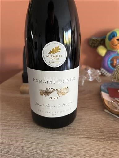 Loiren laakso Saint-Nicolas-De-Bourgueil Domaine Olivier Les Clos Lourieux 2020