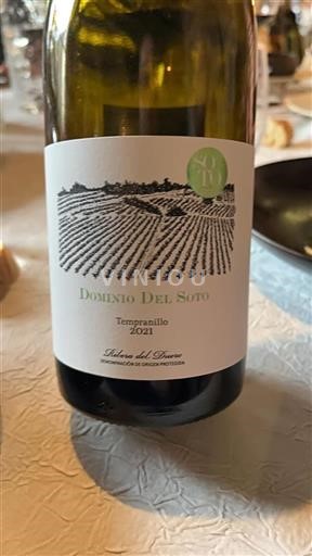 Vin Rouge sec Dominio Del Soto 2021 Espagne Castille et León Ribera del Duero DO