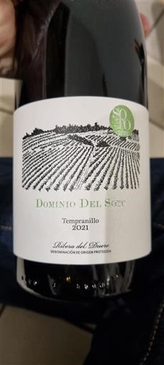 Castiglia e León Ribera del Duero Dominio Del Soto 2021