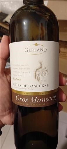 Sud-Ovest Côtes de Gascogne Gerland Senza annata