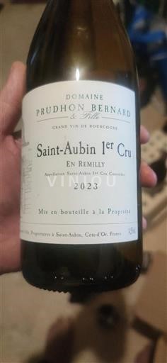 Bourgondië Niet gespecificeerd Premier Cru Prudhon Bernard & Fils En Remilly 2023