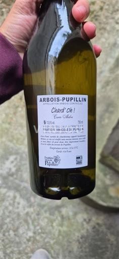 Jura Non specificato Fruitière Vinicole De Pupillin Chard'oh! Melon 2022