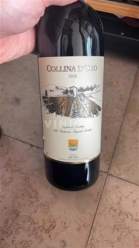 Vin Rouge sec Collina Oro 2020 Suisse Tessin Merlot del Ticino