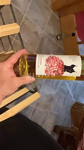 Ontario Prince Edward County VQA Girls' Night Out 2015