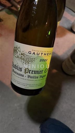Bourgogne Chablis Premier Cru Premier Cru Domaine Alain Gautheron Montmains - Vieilles Vignes 2022