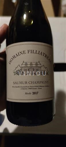Vallée de la Loire Saumur-champigny Domaine Filliatreau 2017