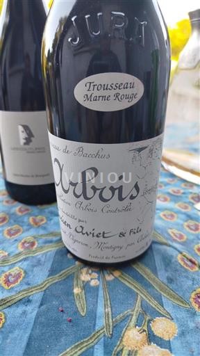 Jura Arbois Lucien Aviet & Fils Trousseau Marne Rouge 2022