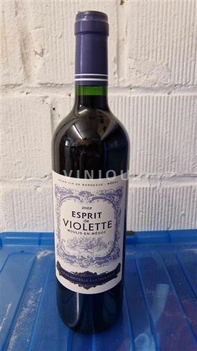 Bordeaux Moulis-en-Médoc Esprit De Violette 2022