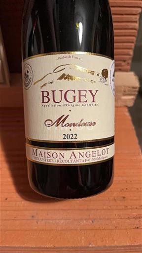 Savoie and Bugey Bugey Maison Angelot Mondeuse 2022
