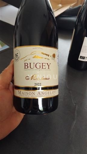 Savoja in Bugey Bugey Maison Angelot Mondeuse 2022