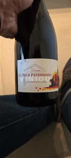 Languedoc Niet gespecificeerd Domaine La Tour Penedesses Les raisins de la Colère 2021