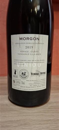 Beaujolais Morgon Domaine La Ronze 2019