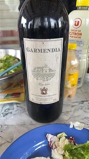 Vin Rouge sec Tinto Garmendia 2000 Espagne Castille et León