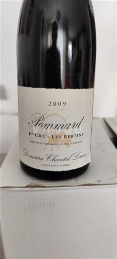 Burgundija Pommard Premier Cru Domaine Chantal Lescure Les Bertins 2009