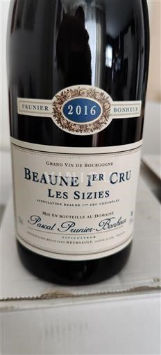 Bourgondië Niet gespecificeerd Premier Cru Domaine Pascal Prunierbonheur Les Sizies 2016