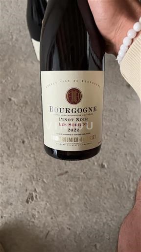 Bourgogne Domaine Fougeray De Beauclair Les Sorbins 2022