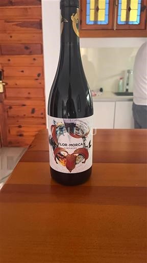 Aragão Campo de Borja Flor De Morca 2020