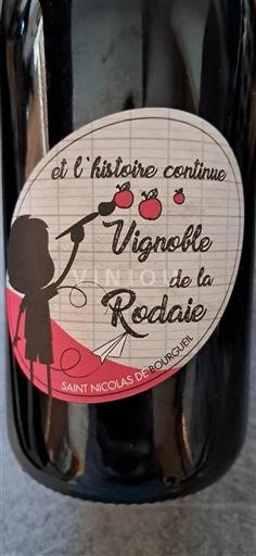 Loire Valley Saint-Nicolas-de-Bourgueil Vignoble De La Rodaie Et l'histoire continue Non-Vintage