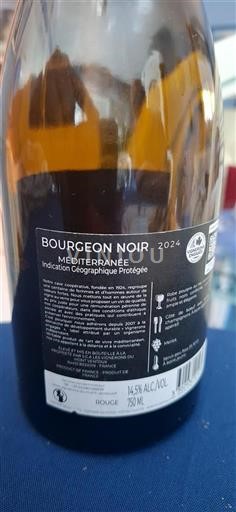 Provence, Lower Rhône Valley, Corsica Mediterranean Vignerons Du Mont Ventoux Bourgeon Noir 2024