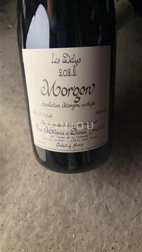 Beaujolais Morgon Mélanie Et Daniel Bouland Les Délys 2022
