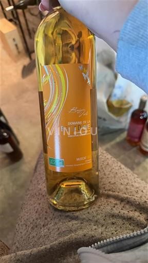 Linguadoca e Rossiglione Hérault Domaine La Belle Dame Baiser Volé 2022