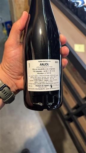 Vallée de la Loire Anjou Pin Sébastien Ancestra 2023