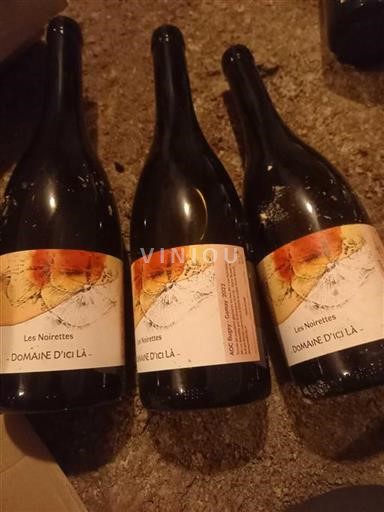 Savoie och Bugey Bugey Domaine Ici Là Les Noirettes 2022