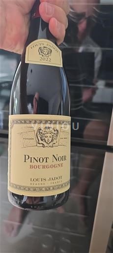 Vin Rouge sec Louis Jadot 2022 France Bourgogne
