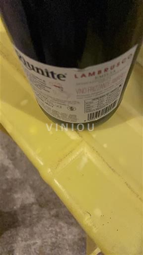 Emilia-Romagna Lambrusco Itiunite Senza annata