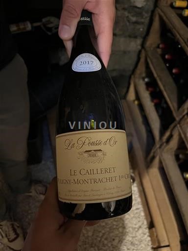 Bourgogne Puligny-montrachet Premier Cru Domaine La Pousse Or Le Cailleret 2017