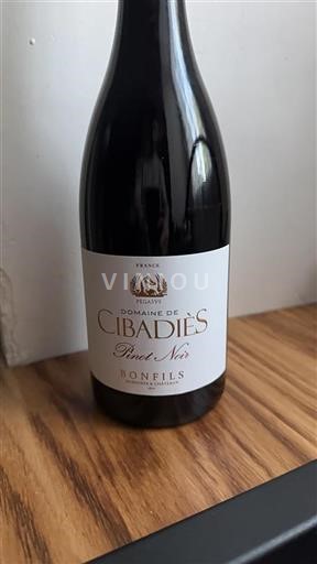 Linguadoca Non specificato Domaine Cibadies Pinot Noir Senza annata