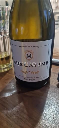 Loire Valley Muscadet Muscatine Non-Vintage