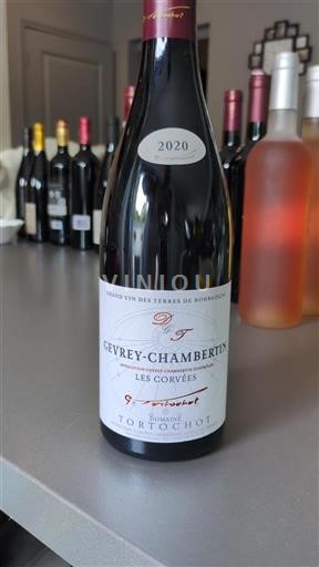 Borgogna Gevrey-Chambertin Domaine Tortochot Les Corvées 2020