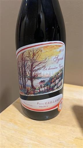Valle della Loira Mareuil Pierre Gaillard La dernière Vigne 2018