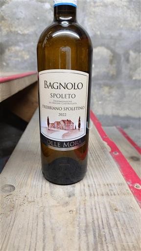 Umbria Spoleto Colle Mora Bagnolo 2022