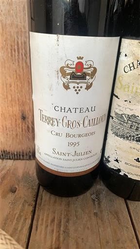 Bordeaux Saint-Julien Cru Bourgeois Château Terreygroscailloux 1995