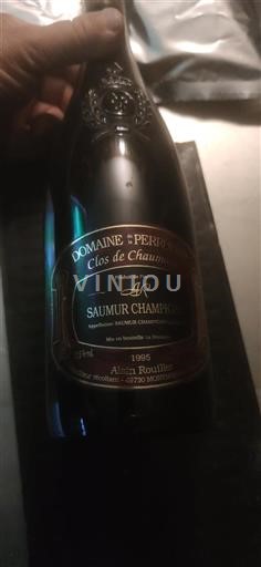 Vallée de la Loire Saumur-champigny Domaine La Perruche Clos de Chaumont 1995