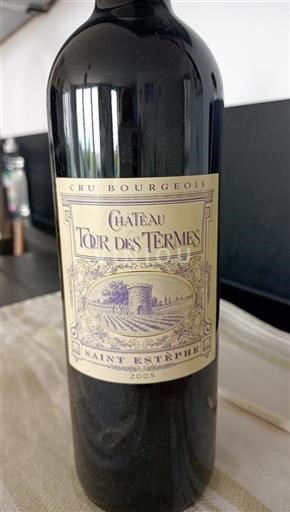 Bordeaux Saint-Estèphe Cru Bourgeois Château Tour Des Termes 2005