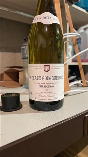 Borgogna Coteaux borgognoni Charles Antonin 2023